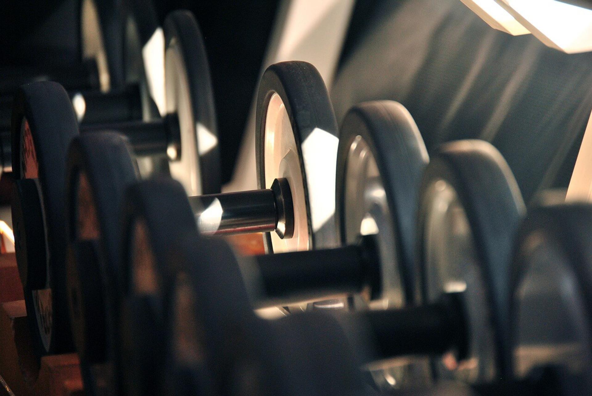 Quel entraînement faire en salle pour perdre du poids image