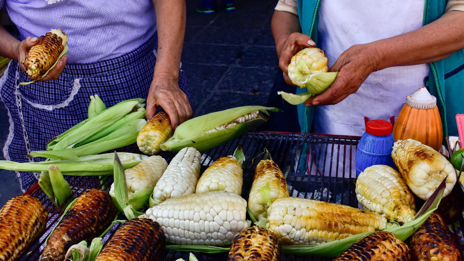 cdmx mexican culture