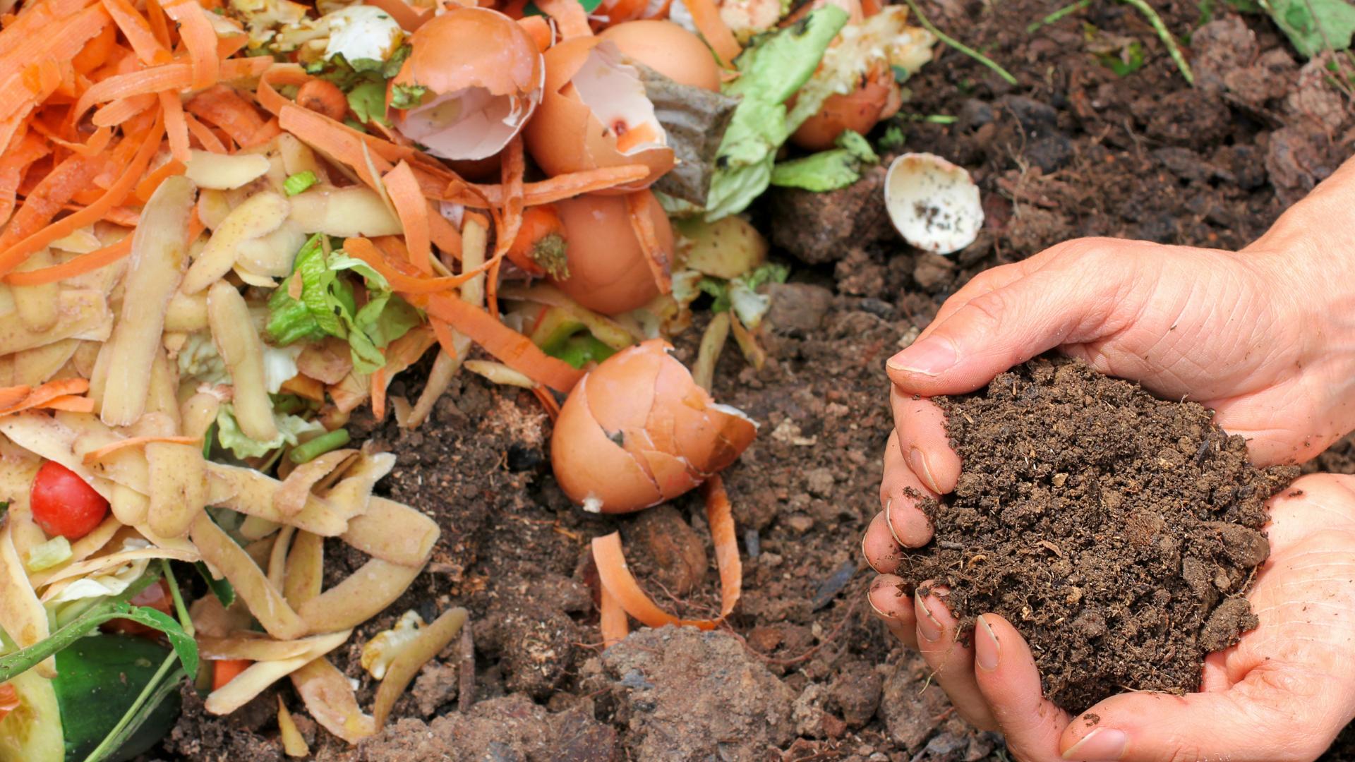 composting and managing a restaurant's waste properly
