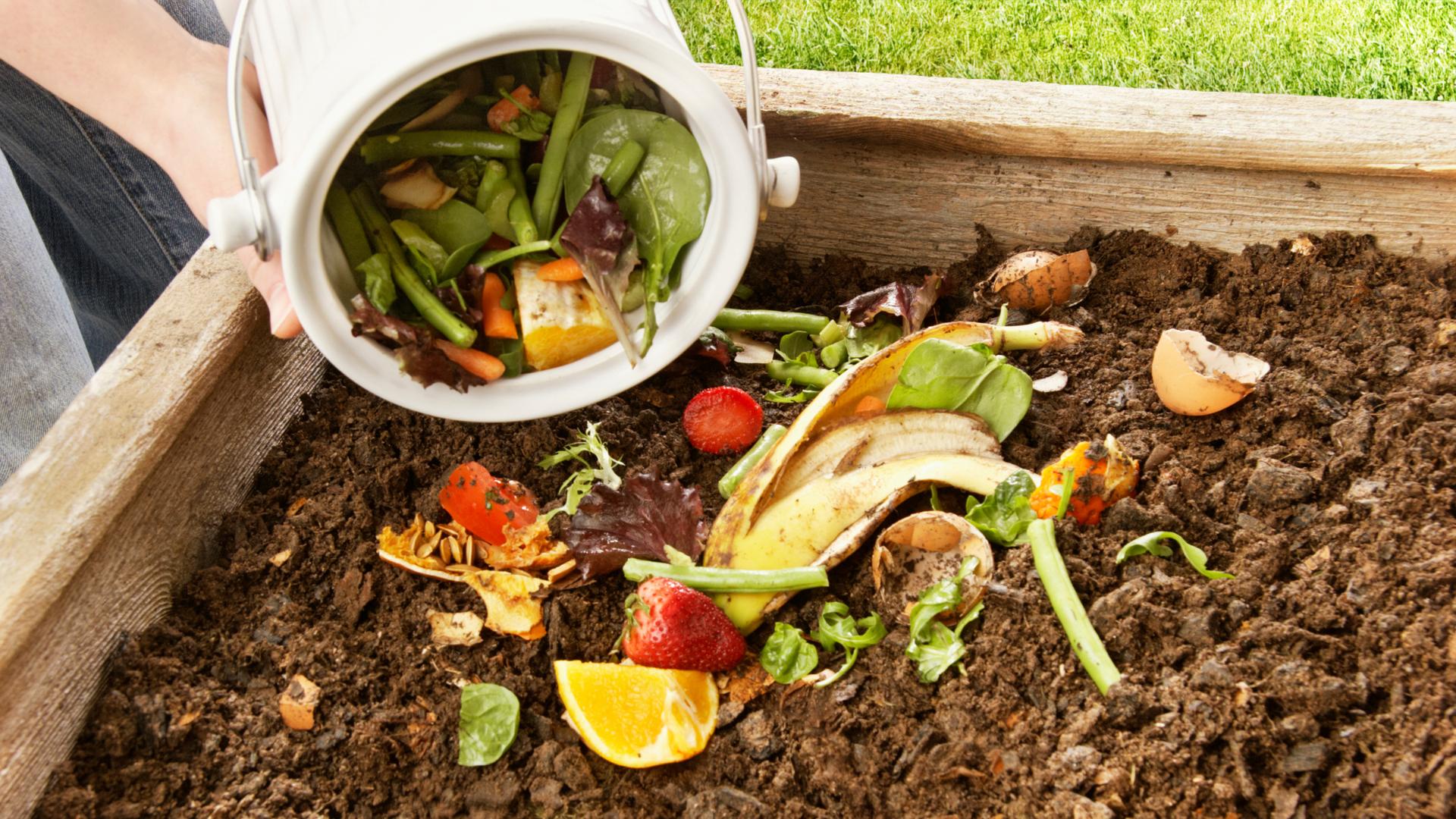 person throwing food scraps into composter